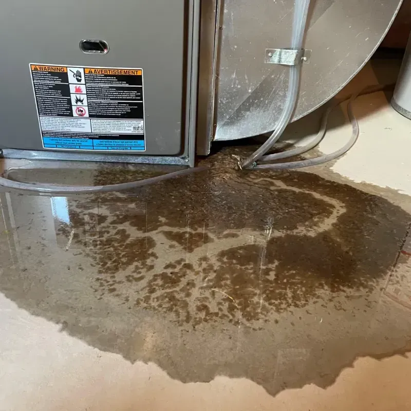 Appliance Leak Cleanup in Colesville, MD